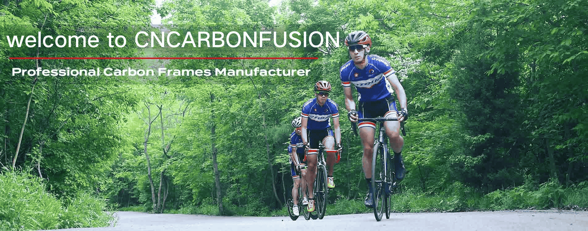 JIANGSU QYH CARBONIO TECH CO., LTD